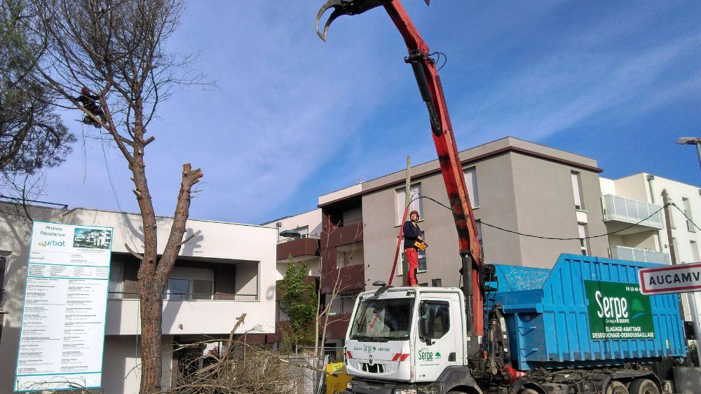 Abattage d'arbres Serpe Toulouse.jpg